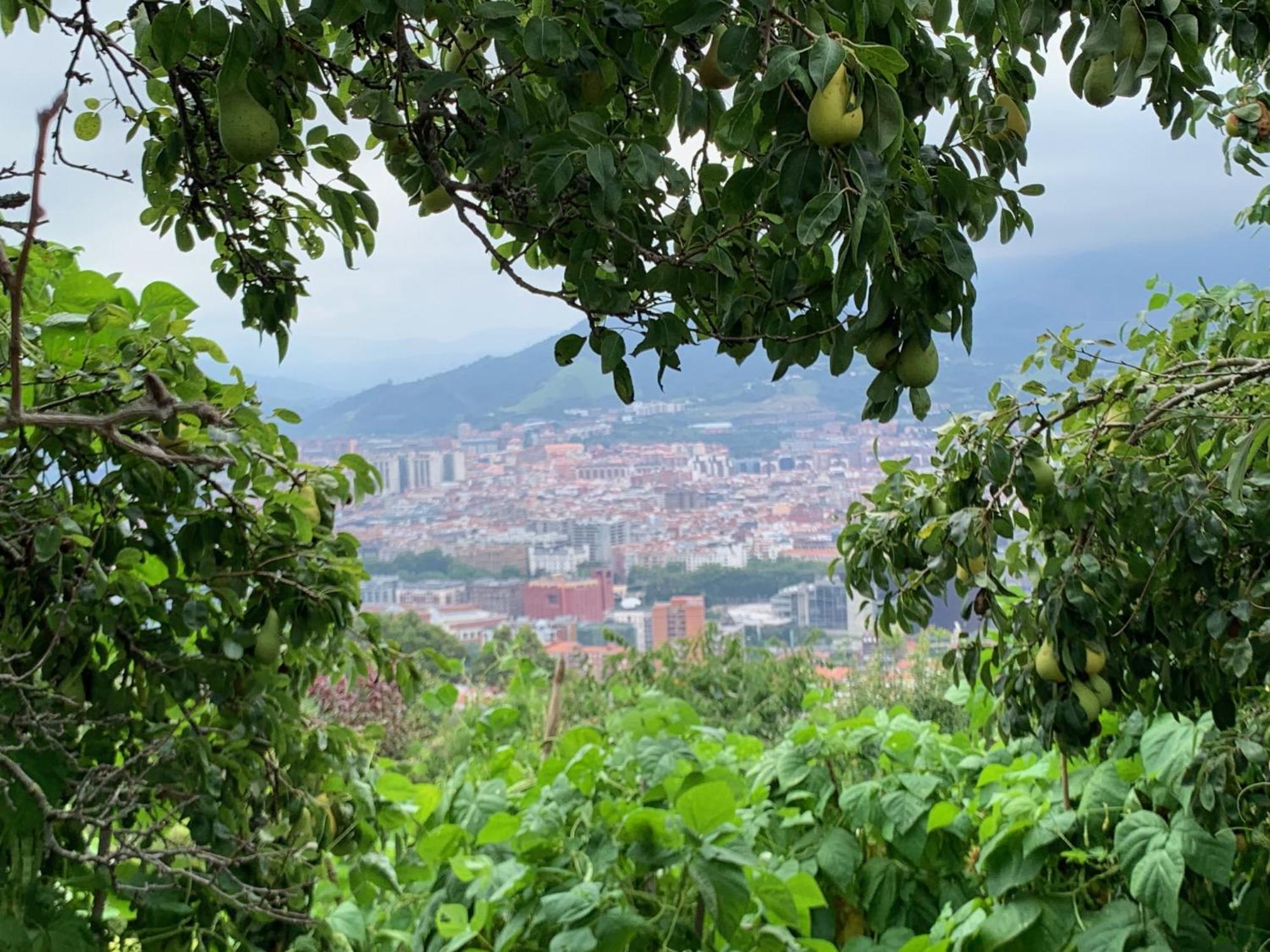 Hotel Artetxe Bilbao Ngoại thất bức ảnh