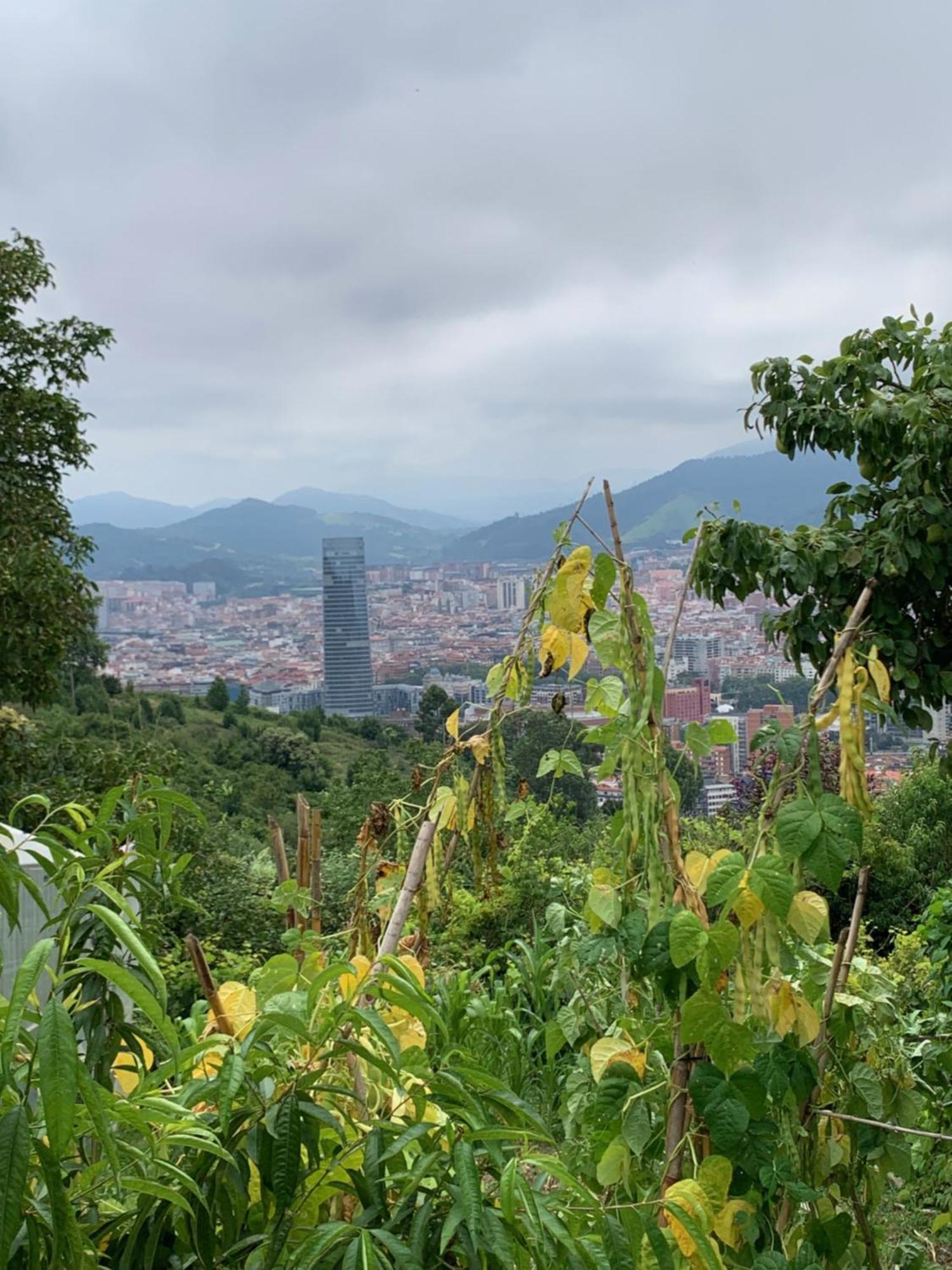 Hotel Artetxe Bilbao Ngoại thất bức ảnh